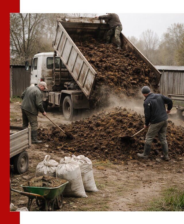 Доставка коровьего навоза самосвалом в Видном
